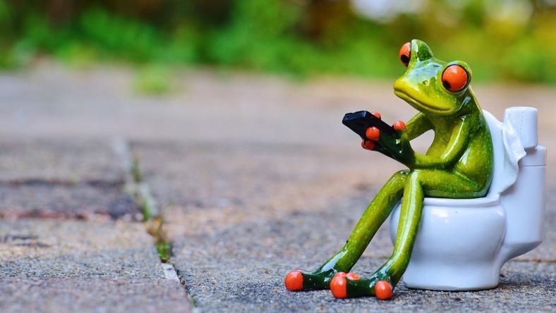 我们为什么非要和便便过不去?